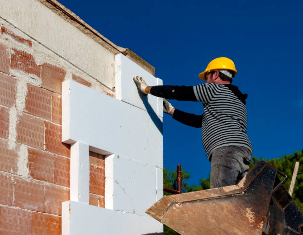Best Insulation Maintenance and Repair in Louisa, VA