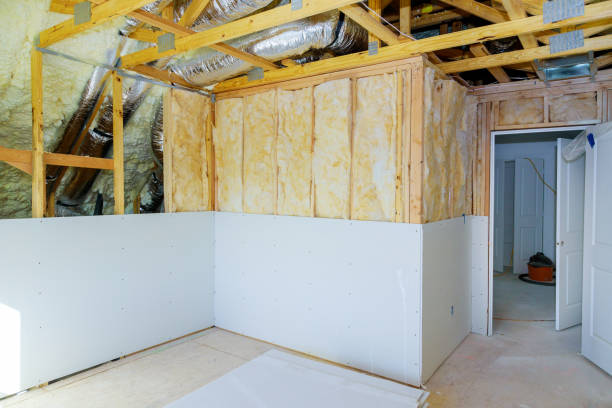 Best DIY Insulation Kits and Guidance in Louisa, VA