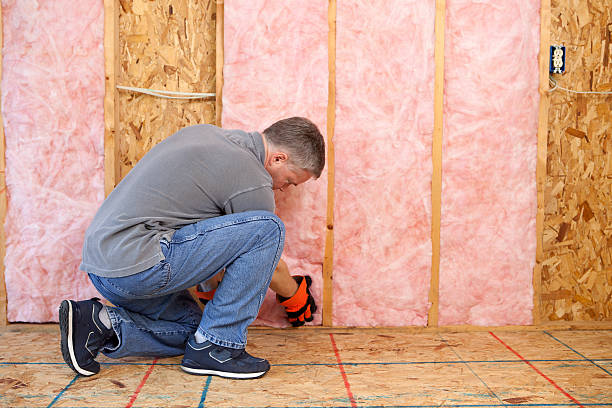 Best Insulation Maintenance and Repair in Louisa, VA