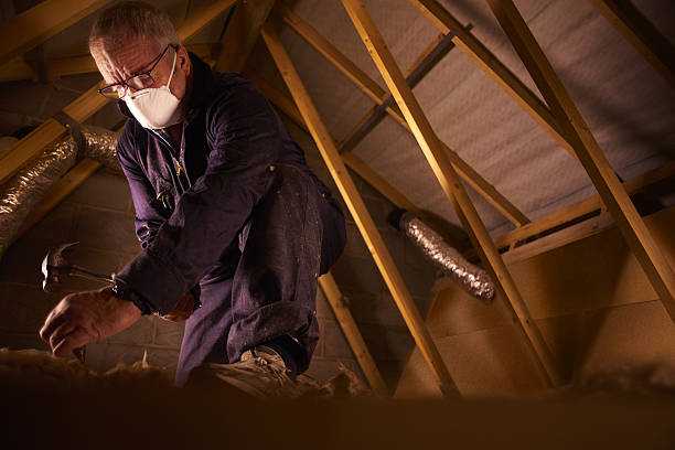 Types of Insulation We Offer in Louisa, VA